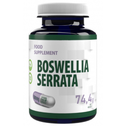 Hepatica Boswellia Serrata 120 kaps. (10:1 Extract)