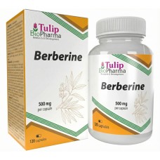 Tulip BioPharma Berberine Extract 120 kaps.