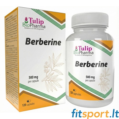 Tulip BioPharma Berberine Extract 120 kaps. 