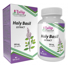 Tulip BioPharma Holy Basil 120 kaps. (10:1 Extract)