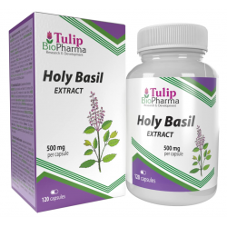 Tulip BioPharma Holy Basil 120 kaps. (10:1 Extract)