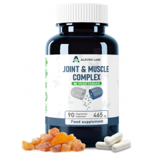 Alzuro Labs Joint & Muscle Complex 90 kaps.