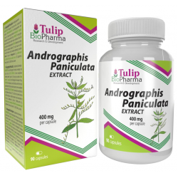 Tulip BioPharma Andrographis Paniculata Extract 90 kaps.