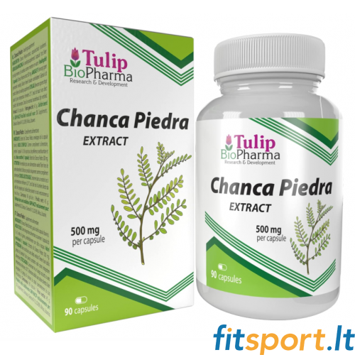Tulip BioPharma Chanca Piedra Extract 90 kaps. Tulip BioPharma Chanca Piedra Extract 90 kaps.