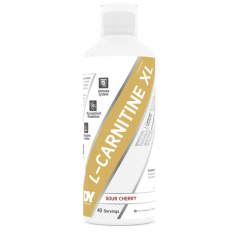 best l'carnitine supplement Top L-Carnitine Supplements