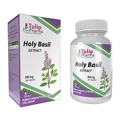 Tulip BioPharma Baziliko 10:1 ekstraktas 120kaps