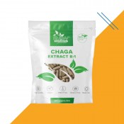 Chaga (Inonotus obliquus)